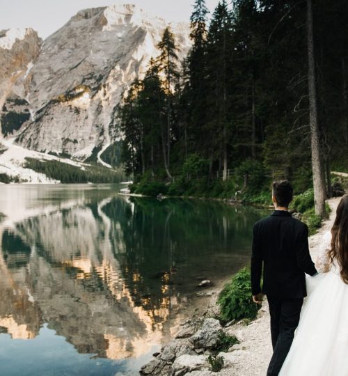 adults-bride-bride-and-groom-1548020